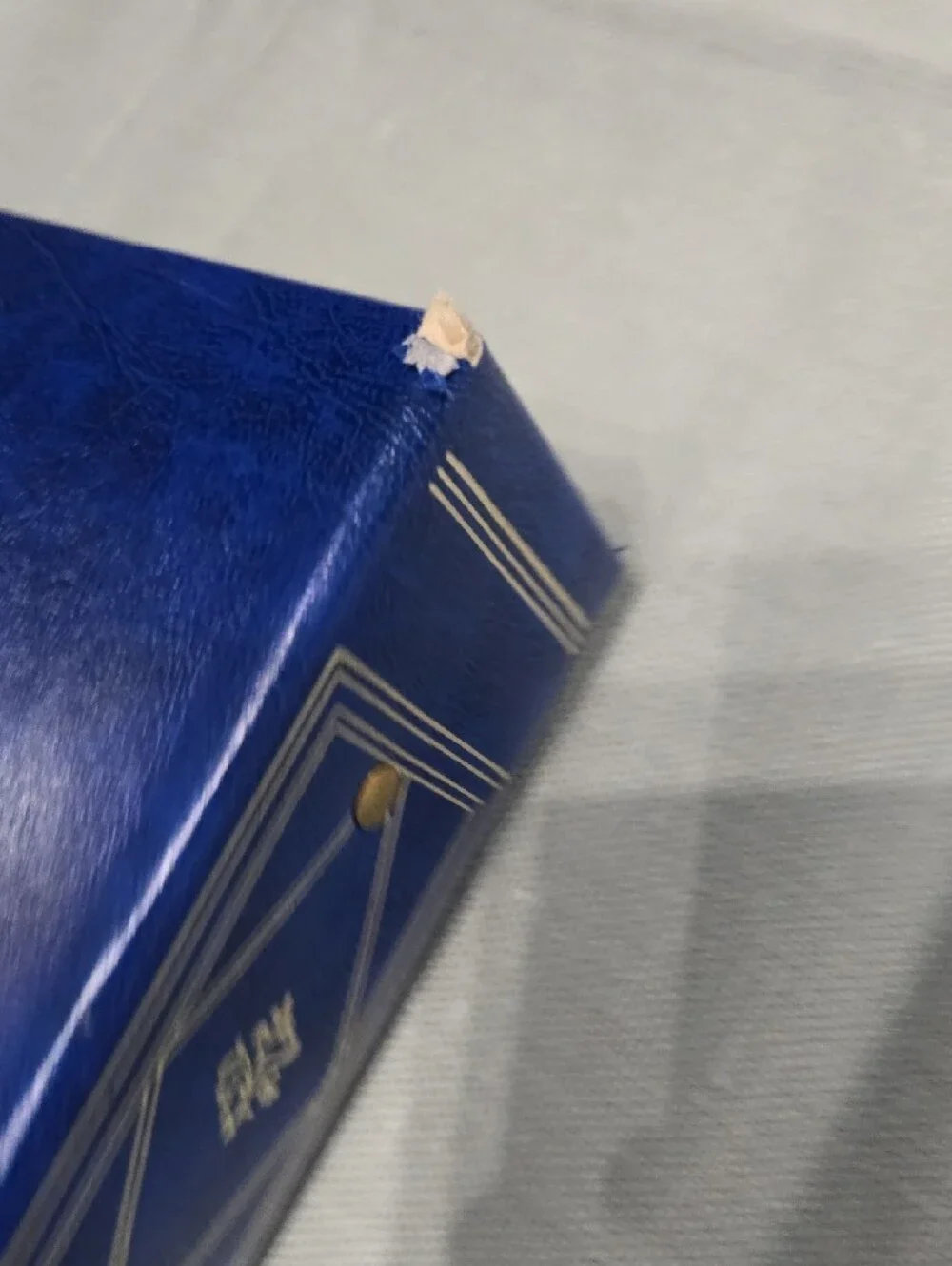 Holson rich blue